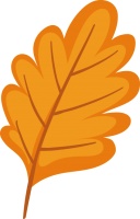 《收获》专稿 | 城市的秘辛——评王安忆长篇新作《儿女风云录》（戴瑶琴）