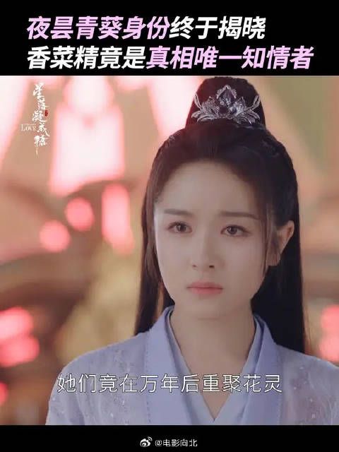 原来胡荽竟还有这样的身份,夜昙和青葵竟是双生花灵