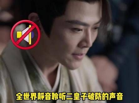 全世界静默倾听二皇子心碎的声音