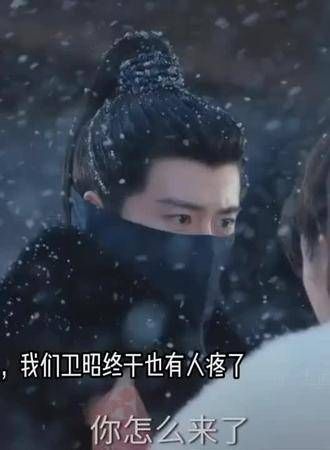 2024.9.15 流水迢迢 任嘉伦 两只猫咪，只有相互依偎才能感到温暖……