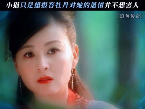 追鱼传奇 小猫:这恩不报也罢