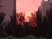 王安石和苏轼：看透世情后各写一诗，有异曲同工之妙，真的好通透