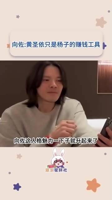 向佐吐槽杨子这段真是直击要害