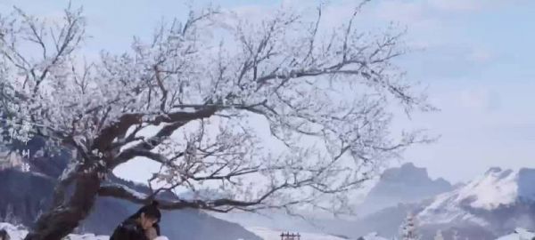 雪夜中的告白与相拥,让霍展白和薛紫夜的关系更加紧密,吾心安处,归宿已现