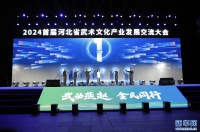 2024首届河北省武术文化产业发展交流大会拉开帷幕