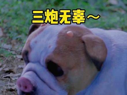 听大家说 斗罗大陆 是一部很有味道的剧,但我持怀疑态度