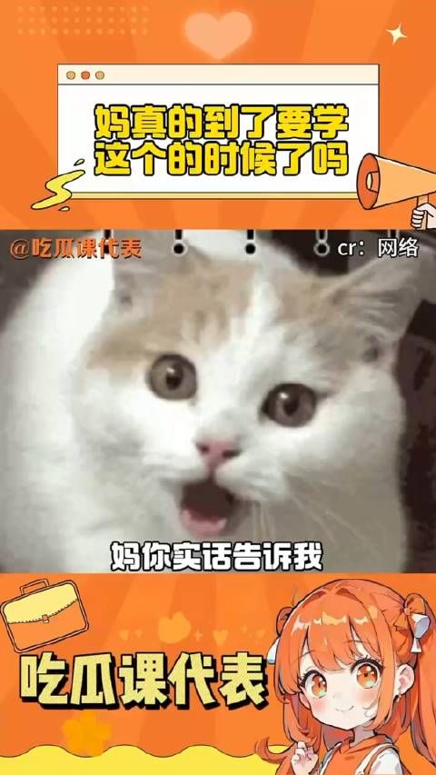 妈妈,这个是选修还是必修啊 硬核