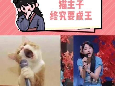 萨顶顶：我可不能去模仿猫叫 我的天啊