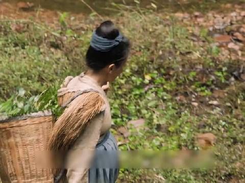 二婚民女与王爷艰难相爱终于被皇帝承认