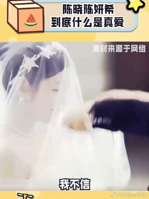 陈晓陈妍希 到底什么是真爱