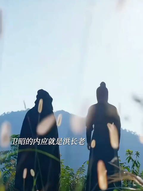原来 洪长老就是卫昭的内应,当年也是他放过了手无寸铁的姐弟俩…