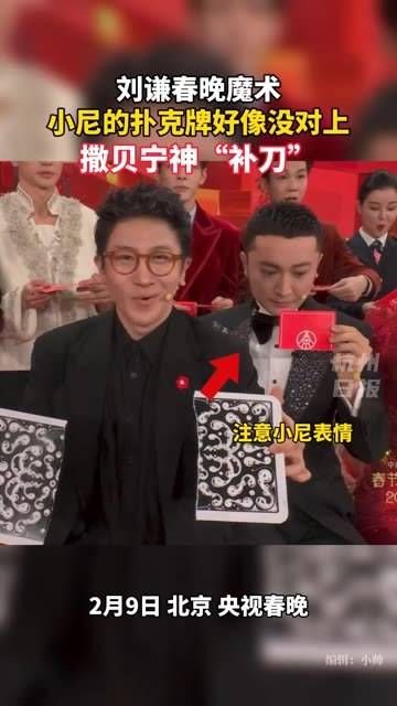 恳求全网援救小尼!撒贝宁真是太过分了!