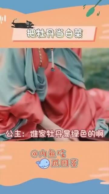 公主如此可爱,定然不是她的过错