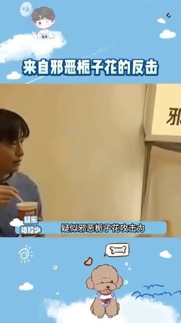 疑似栀子花最具攻击性的一集!