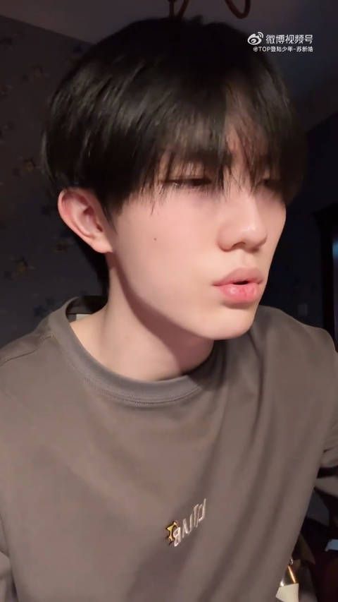 看了苏新皓抽象版APT心情会变好,就是这么鲜活可爱又抽象一帅哥哈哈哈哈…