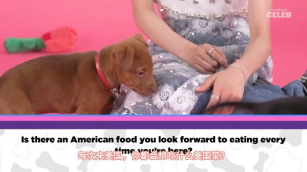 朴彩英被问到喜欢吃什么美国食物 “我通常会选择中国火锅”