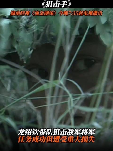 龙绍钦率领队伍成功狙击敌军将军,然而任务中也付出了沉重的代价