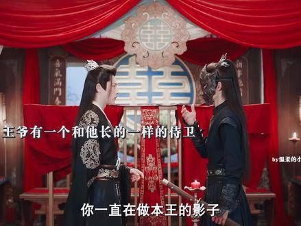 她只想复仇,但他却阻止了她,因为他打算与她一同报仇