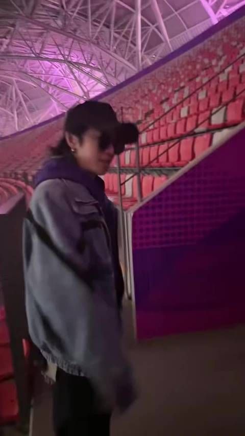 描述彩排情境与猫咪相关趣事