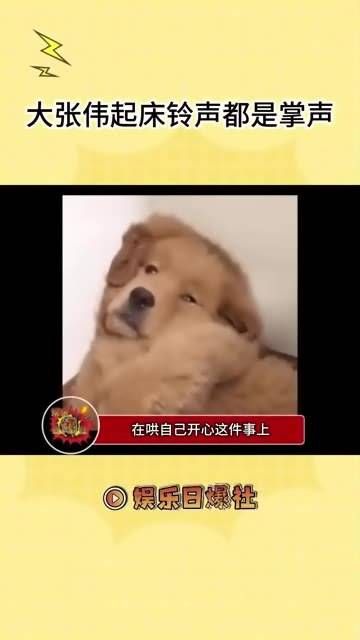 在让自己开心这方面,没人能比得过大老师!