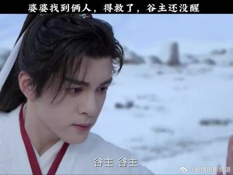 婆婆找到俩人,得救了,谷主还没醒