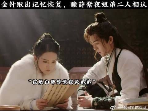金针取出记忆恢复,瞳薛紫夜姐弟二人相认