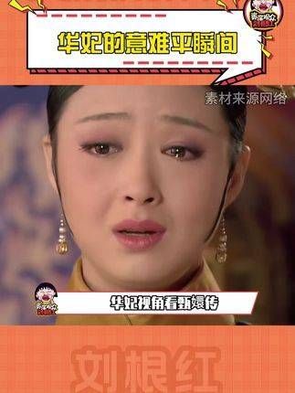 夺我之爱宠,将我贬入冷宫