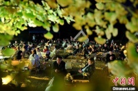 成都：银杏林音乐节开幕 唯美景观“点亮”蓉城绚烂之夜