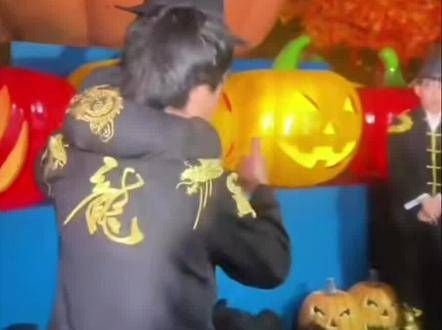 向佐为何突然出手?向左挥拳的背后故事