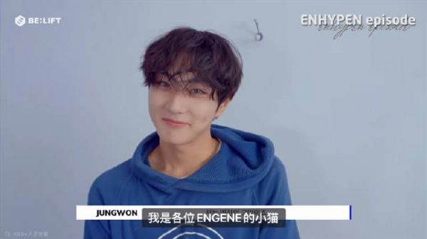 Jung小猫的特征:认生的普通小猫