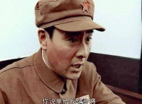 《亮剑》丁伟所说的纵队司令“陈大麻子”原型是谁？文学创作而已