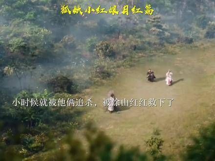小时候就遭到他们的追杀,幸得涂山红红相救