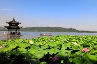 “西湖赏荷”入选非遗