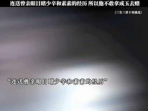 连送曾亲眼目睹 素素和少辛 的经历,所以他不敢拿成玉去赌…