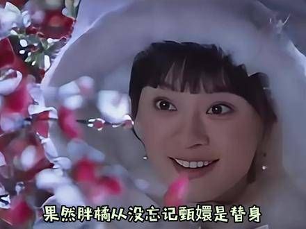 原来 胖橘 一直明白,眼前的并非心中的!