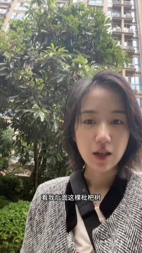 真的在说枇杷吗? .