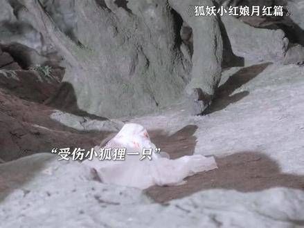 爱上救命恩人的桥段,谁能不心动