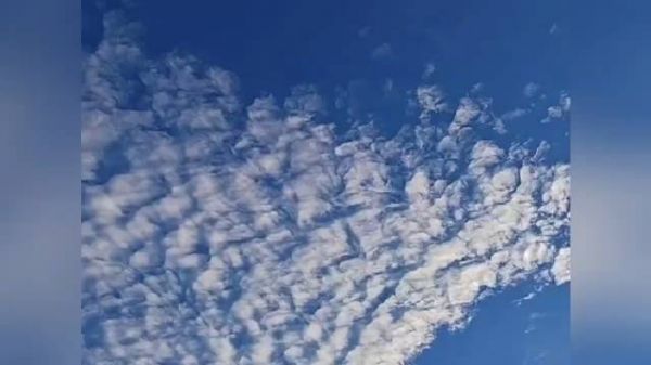 可怜天下父母心,每一位残疾人都值得被尊重!