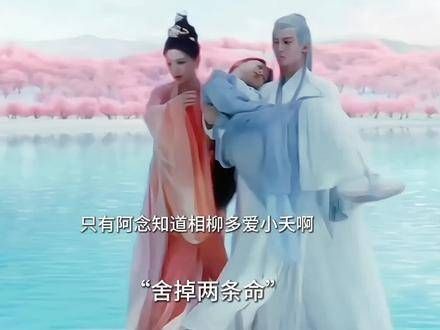 只有阿念知晓相柳对小夭的深情,那大肚娃娃也是他托付阿念转交给小夭的…