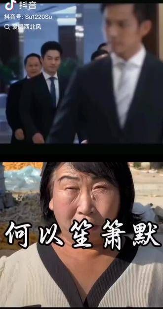 大爷这眼神和气质，直接秒杀应辉了