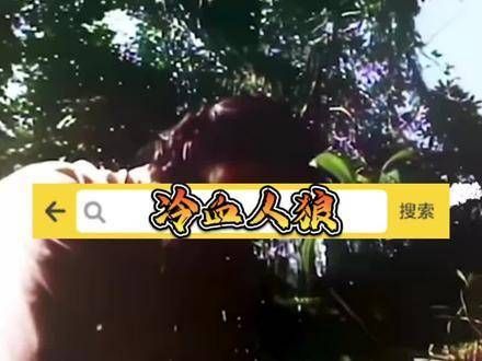 今日推荐 持续更新中,欢迎关注