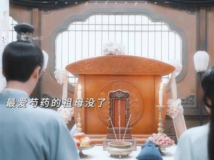 最爱芍药的祖母离开了,世间又少了一位钟情芍药之人,芍药悲痛欲绝…