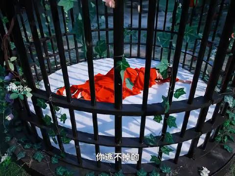 双向无情疯批男女主!俩人之间的你来我往的拉扯撩拨感也很强!