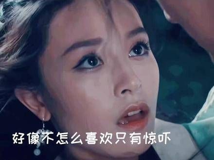 知道为什么出不了裘庄吗?九敏,我可能真的疯了