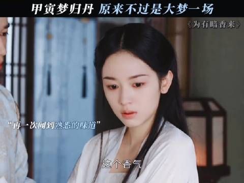 梦醒归来,一切都是假的