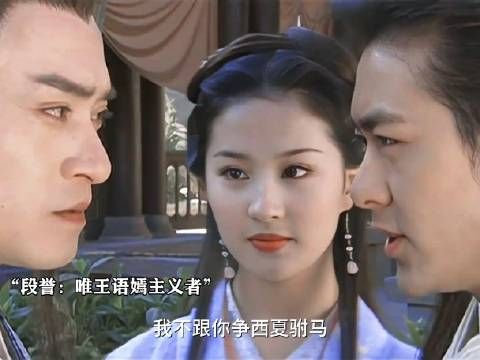 痴情小王爷追妻记,段誉唯王语嫣主义者!