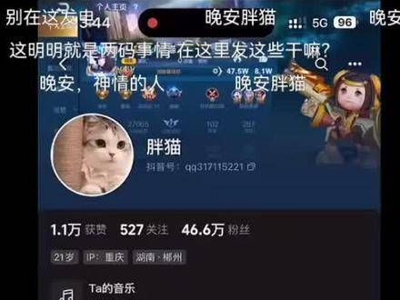 对不起胖猫,这么晚才与你相遇