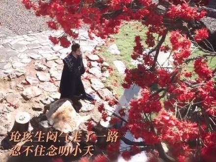 妈呀,小说里的霸总现身了,对,我就爱看张晚意这种强势的爱…