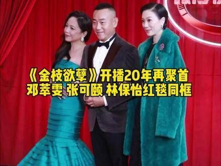 开播20周年,邓萃雯 张可颐 林保怡 2024微博视界大会 红毯再次重逢