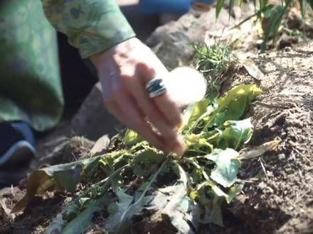 换个年代,她们或许能成为朋友